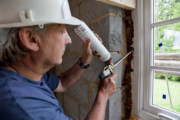 Best Wall Insulation Installation  in Meggett, SC